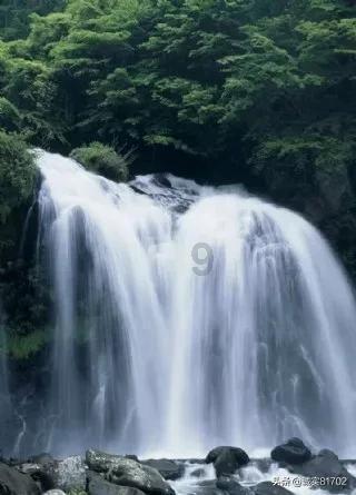 冷知识分享平台-林心如透露林志颖开车习惯:他平时不开快车!她为何对林志颖如此了解?,揭秘生活中的冷门知识